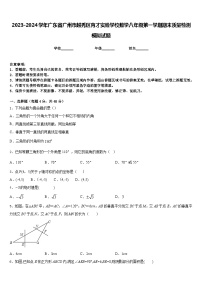 2023-2024学年广东省广州市越秀区育才实验学校数学八年级第一学期期末质量检测模拟试题含答案