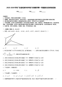 2023-2024学年广东省河源市和平县八年级数学第一学期期末达标检测试题含答案