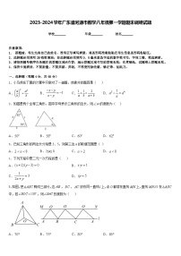 2023-2024学年广东省河源市数学八年级第一学期期末调研试题含答案