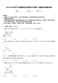 2023-2024学年广东省惠州光正实验数学八年级第一学期期末考试模拟试题含答案