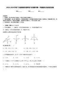 2023-2024学年广东省惠州市博罗县八年级数学第一学期期末达标测试试题含答案