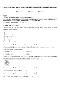 2023-2024学年广东省江门市蓬江区荷塘中学八年级数学第一学期期末统考模拟试题含答案