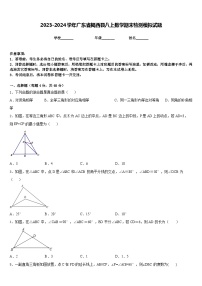 2023-2024学年广东省揭西县八上数学期末检测模拟试题含答案