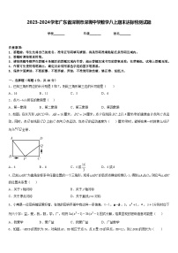 2023-2024学年广东省深圳市深圳中学数学八上期末达标检测试题含答案