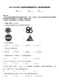 2023-2024学年广东省深圳市翠园初级中学八上数学期末调研试题含答案