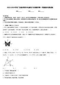 2023-2024学年广东省深圳市坪山新区八年级数学第一学期期末经典试题含答案