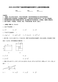 2023-2024学年广东省深圳市福田片区数学八上期末统考模拟试题含答案