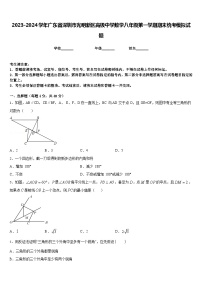 2023-2024学年广东省深圳市光明新区高级中学数学八年级第一学期期末统考模拟试题含答案