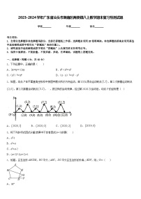 2023-2024学年广东省汕头市潮南区两英镇八上数学期末复习检测试题含答案