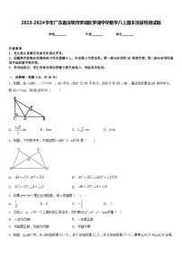 2023-2024学年广东省深圳市罗湖区罗湖中学数学八上期末质量检测试题含答案