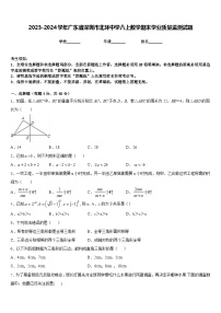 2023-2024学年广东省深圳市北环中学八上数学期末学业质量监测试题含答案