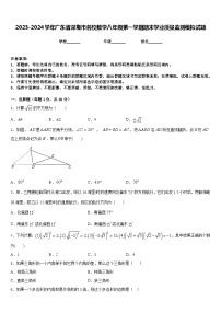 2023-2024学年广东省深圳市名校数学八年级第一学期期末学业质量监测模拟试题含答案