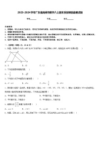 2023-2024学年广东省高州市数学八上期末质量跟踪监视试题含答案