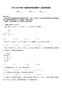 2023-2024学年广东省茂名市电白县数学八上期末预测试题含答案