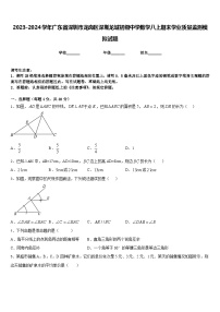 2023-2024学年广东省深圳市龙岗区深圳龙城初级中学数学八上期末学业质量监测模拟试题含答案