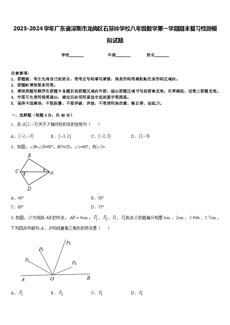 2023-2024学年广东省深圳市龙岗区石芽岭学校八年级数学第一学期期末复习检测模拟试题含答案01