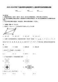 2023-2024学年广东省深圳市龙岗区数学八上期末教学质量检测模拟试题含答案