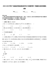 2023-2024学年广东省盐城市毓龙路实验学校八年级数学第一学期期末达标检测模拟试题含答案