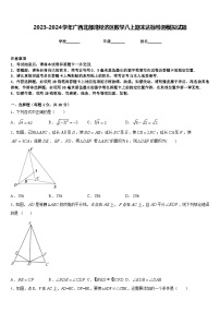 2023-2024学年广西北部湾经济区数学八上期末达标检测模拟试题含答案