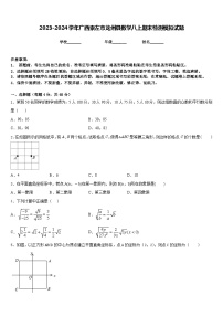 2023-2024学年广西崇左市龙州县数学八上期末检测模拟试题含答案