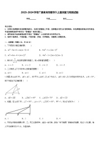 2023-2024学年广西来宾市数学八上期末复习检测试题含答案