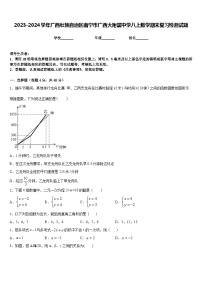 2023-2024学年广西壮族自治区南宁市广西大附属中学八上数学期末复习检测试题含答案