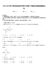 2023-2024学年广西壮族自治区南宁市数学八年级第一学期期末质量跟踪监视模拟试题含答案