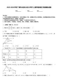 2023-2024学年广州市从化区从化七中学八上数学期末复习检测模拟试题含答案