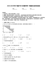 2023-2024学年广西南宁市八年级数学第一学期期末达标检测试题含答案