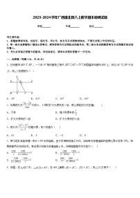 2023-2024学年广西浦北县八上数学期末调研试题含答案