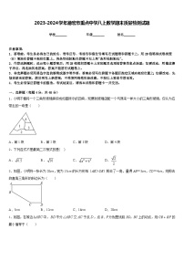 2023-2024学年德宏市重点中学八上数学期末质量检测试题含答案