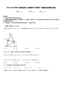 2023-2024学年广西防城港市上思县数学八年级第一学期期末监测模拟试题含答案