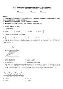 2023-2024学年广西钦州市钦北区数学八上期末监测试题含答案