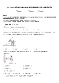 2023-2024学年杭州市锦绣育才教育科技集团数学八上期末达标检测试题含答案