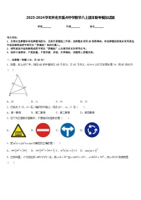 2023-2024学年怀化市重点中学数学八上期末联考模拟试题含答案