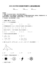 2023-2024学年江汉区部分学校数学八上期末监测模拟试题含答案