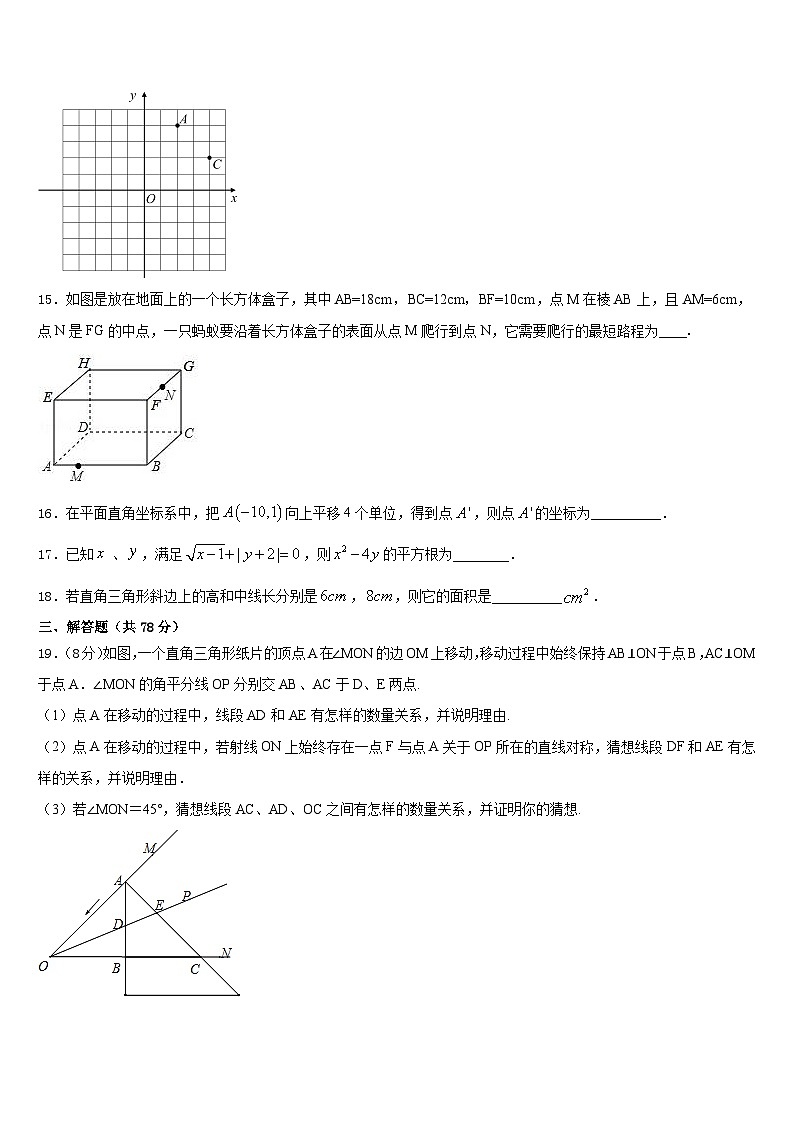 2023-2024学年江苏省南京市栖霞区八上数学期末质量检测试题含答案03