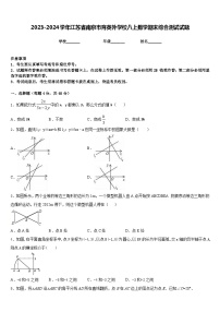 2023-2024学年江苏省南京市育英外学校八上数学期末综合测试试题含答案