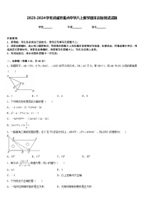 2023-2024学年武威市重点中学八上数学期末达标测试试题含答案