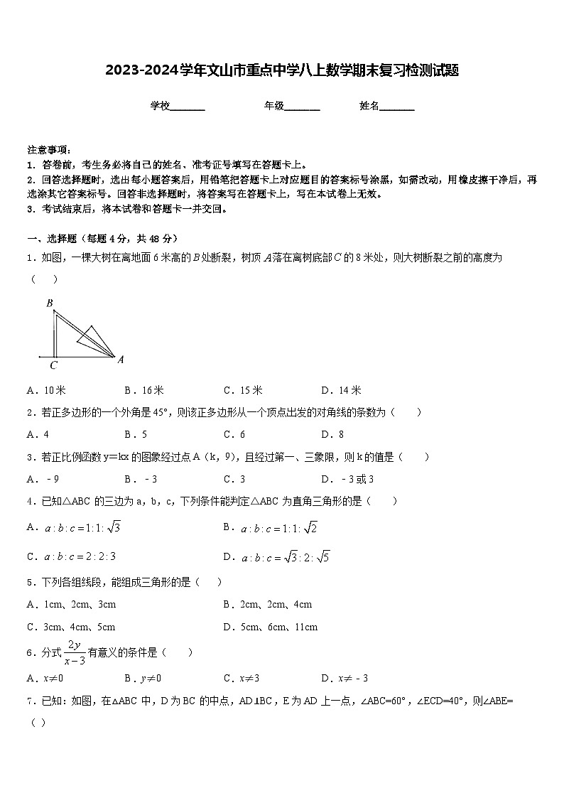 2023-2024学年文山市重点中学八上数学期末复习检测试题含答案01