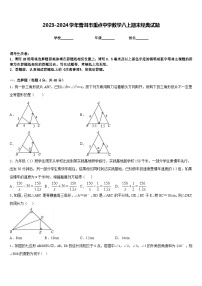 2023-2024学年普洱市重点中学数学八上期末经典试题含答案