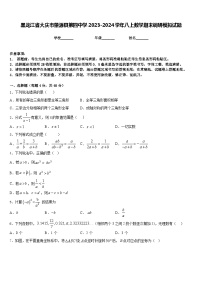 黑龙江省大庆市肇源县第四中学2023-2024学年八上数学期末调研模拟试题含答案