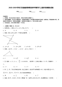 2023-2024学年江苏省南京鼓楼实验中学数学八上期末检测模拟试题含答案