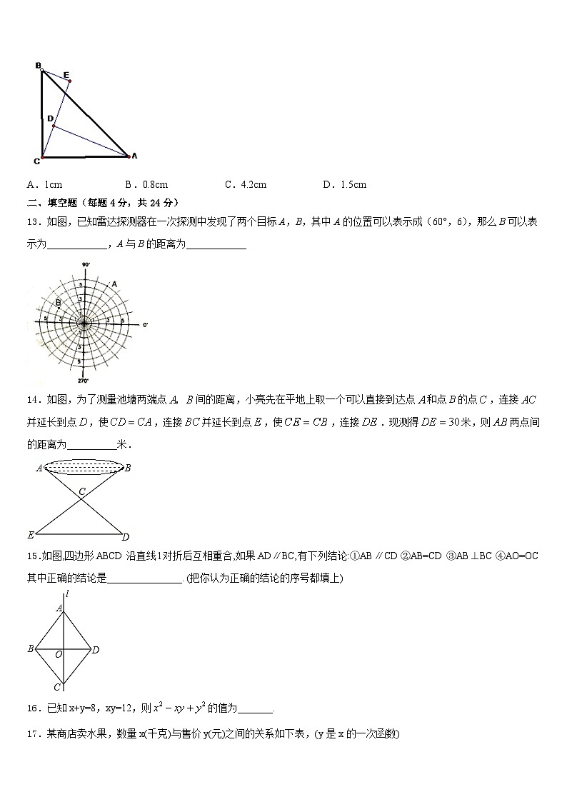 2023-2024学年江苏省海安市八校八年级数学第一学期期末统考模拟试题含答案03