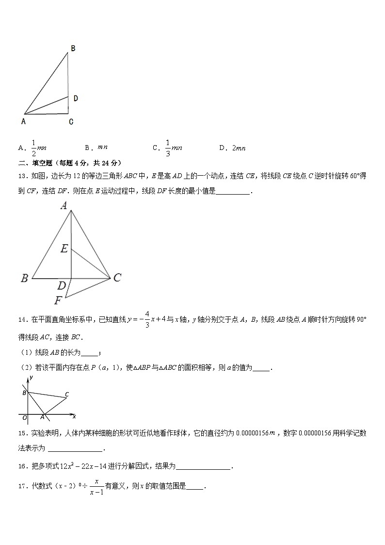 2023-2024学年江苏省海门六校联考数学八年级第一学期期末教学质量检测模拟试题含答案第3页