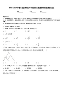 2023-2024学年江苏省泰州白马中学数学八上期末综合测试模拟试题含答案