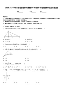 2023-2024学年江苏省盐城市阜宁县数学八年级第一学期期末教学质量检测试题含答案