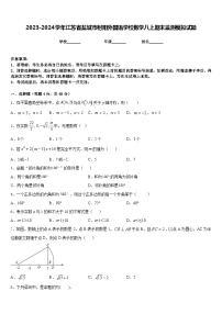 2023-2024学年江苏省盐城市射阳外国语学校数学八上期末监测模拟试题含答案