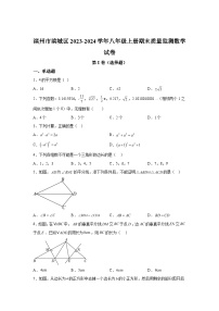 山东省滨州市滨城区2023-2024学年八年级上学期期末数学试题(含解析)