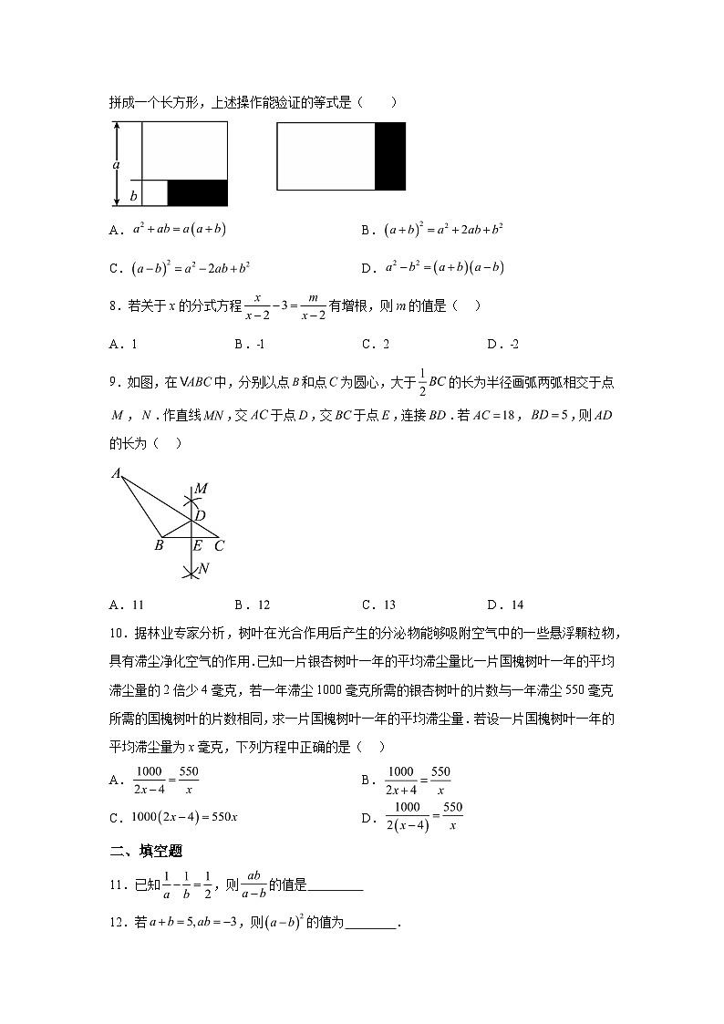 山东省滨州市滨城区2023-2024学年八年级上学期期末数学试题(含解析)02